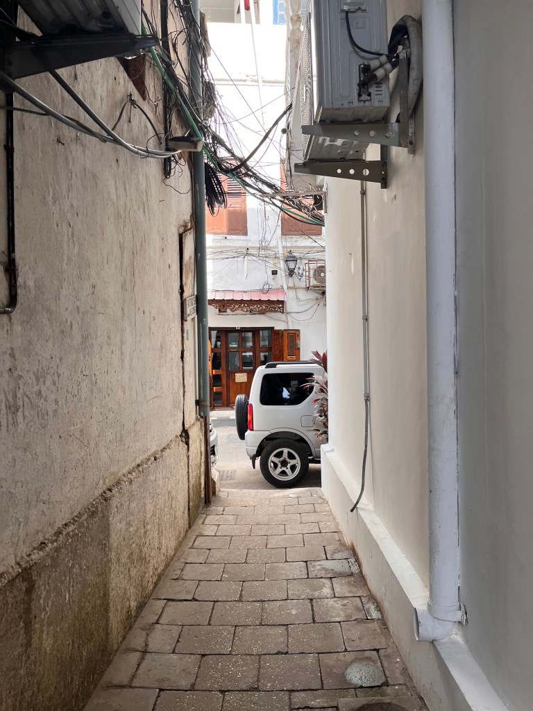 Behind the Scenes at the Springbank Island&nbsp;Bungalow