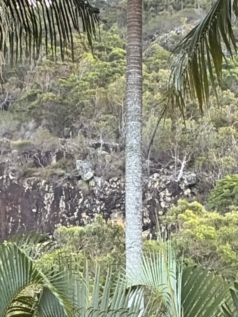 When I met&nbsp;yowie