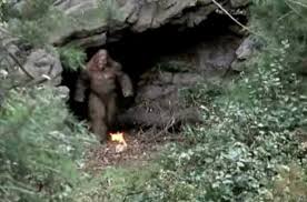 Yowie morning rituals